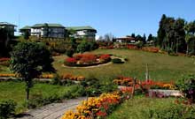 Darjeeling Tour Packages 6N/7D