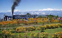 Darjeeling Tour Packages