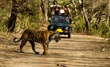 Corbett National Park