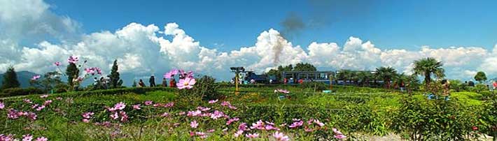 Darjeeling Tour Packages