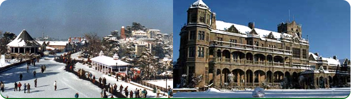 Shimla Bus Package