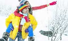 Kullu Manali Honeymoon Package