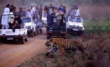 Ranthambore Tour Package