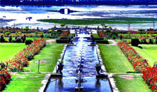 Exclusive Srinagar Tour Package